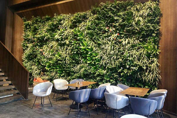 成都酒店设计公司论酒店绿化设计的作用1