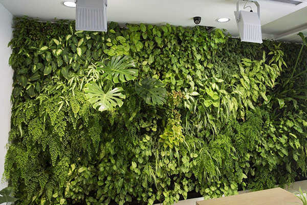 成都酒店设计公司论酒店绿化设计的作用2